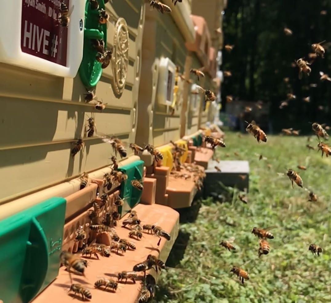 Apimaye Insulated 7 Frame Langstroth Nucleus Assembled Bee Hive Set with Core Frames and Foundations [Tan] image number 1