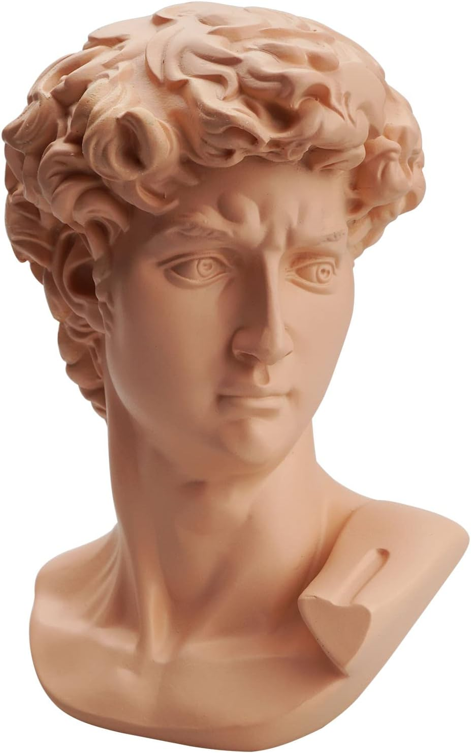 6 Inch Greek Michelangelo David Bust Statue