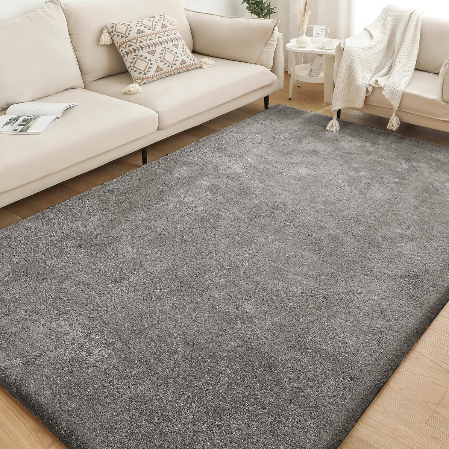 Soft Indoor Modern Shag Area Rug for Living Room Fluffy Rugs Anti-Skid Shaggy Rug Nursery/Dining Room/Home/Bedroom/Office Carpet Ultra Soft Floor Rug(Warm Sand, 61X91Cm)