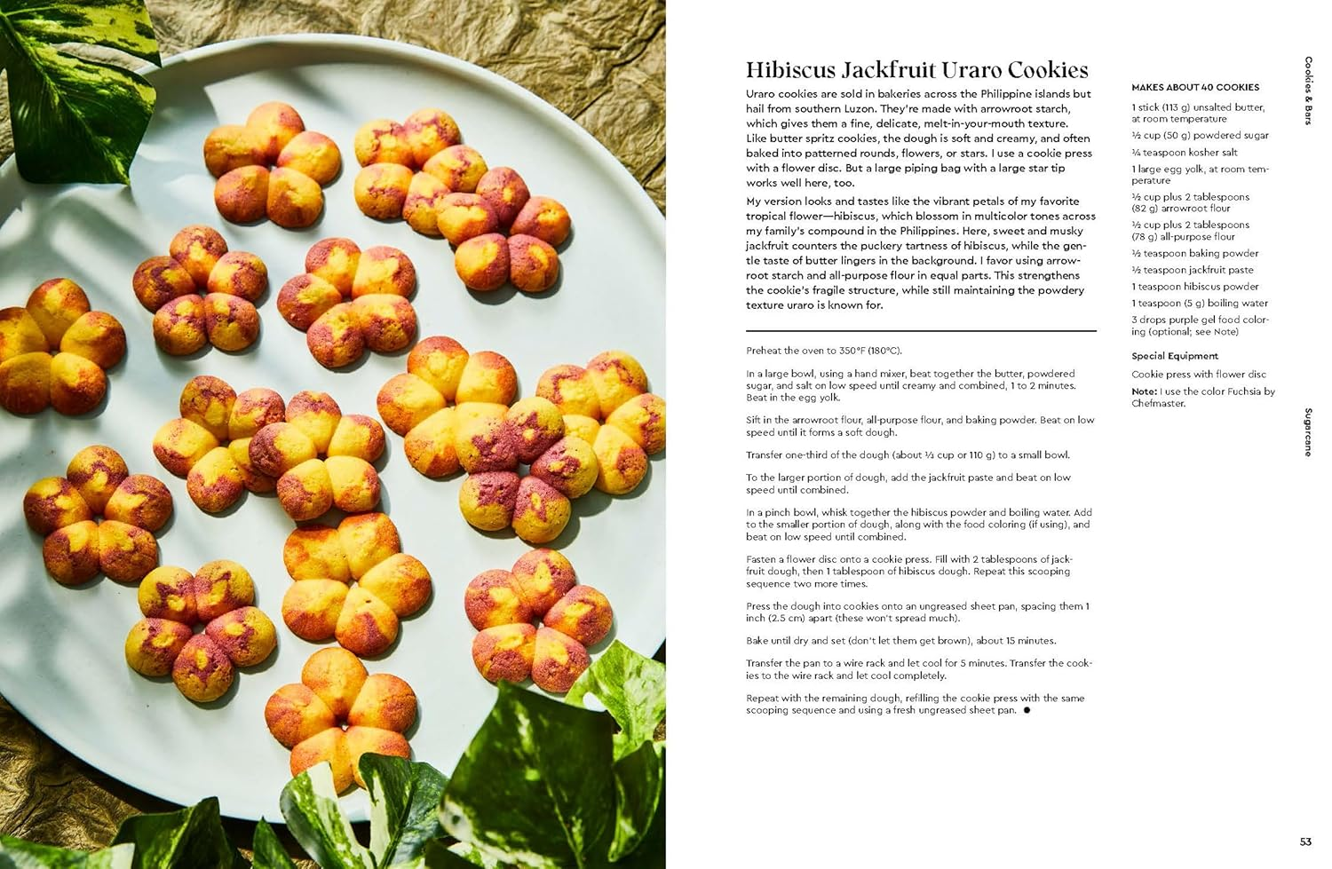 Sugarcane: Sweet Recipes from My Half-Filipino Kitchen image number 1