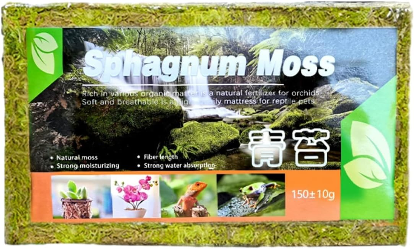AIMALL Compressed Natural Moss Mat 8.27X4.92 Inch Moisturising Substrate Pad for Tortoise Snake Lizard Reptile Terrarium Bedding Organic Breathable Soil Cover image number 5