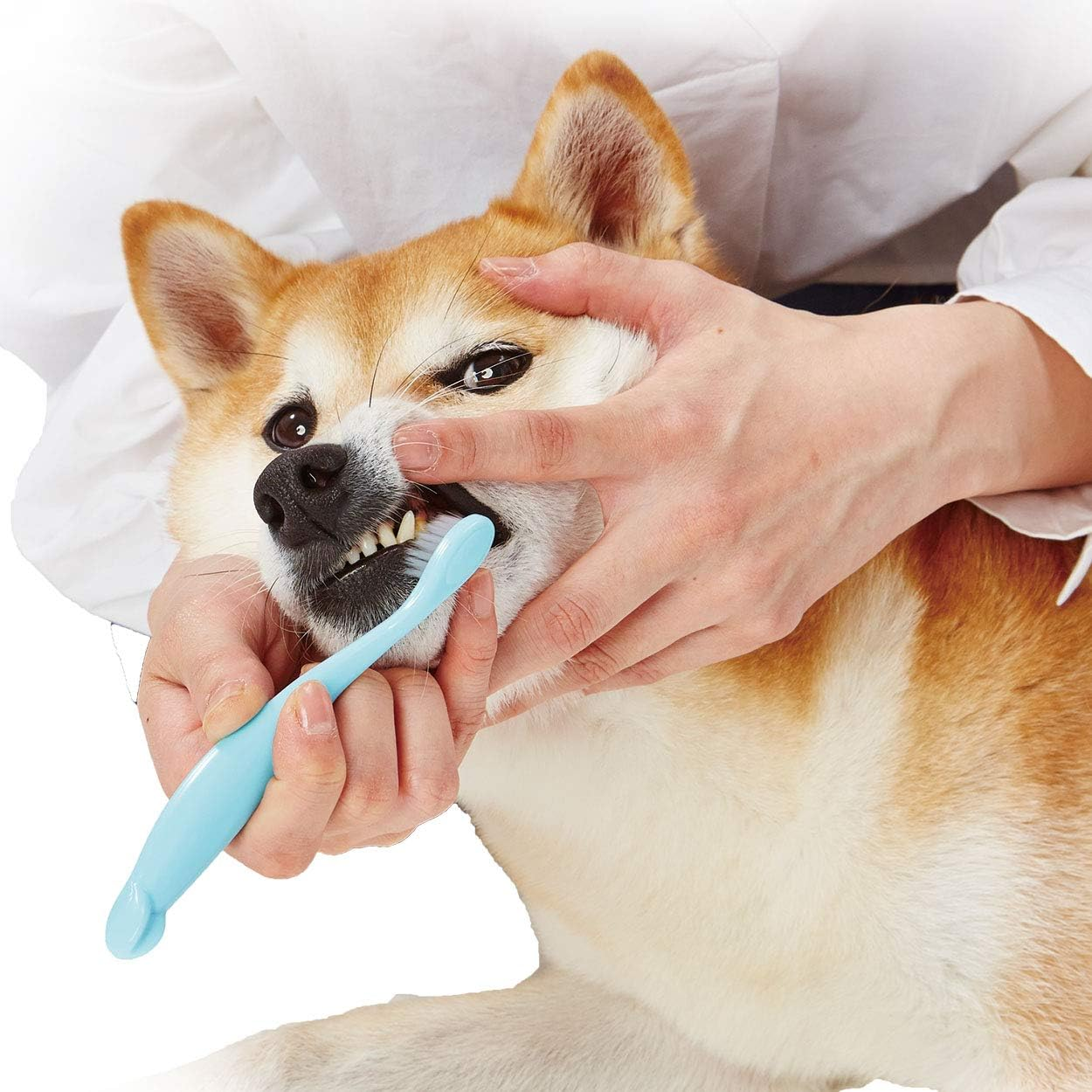 Petio Pet Soft Dental Toothbrush image number 4