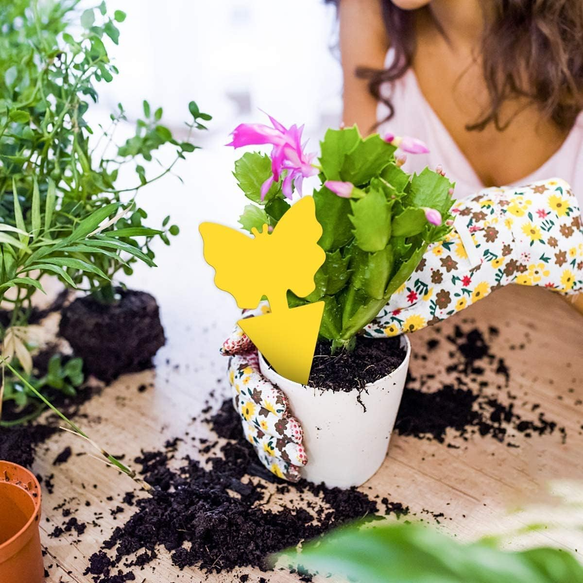 50 Pack Yellow Sticky Fly Traps, Dual-Sided Sticky Trap, Insect Catcher Sticky Board for Flying Plant Insect Gnats, Flying Aphid, Whiteflies, Leaf Miners, Other Flying Plant Insects image number 4