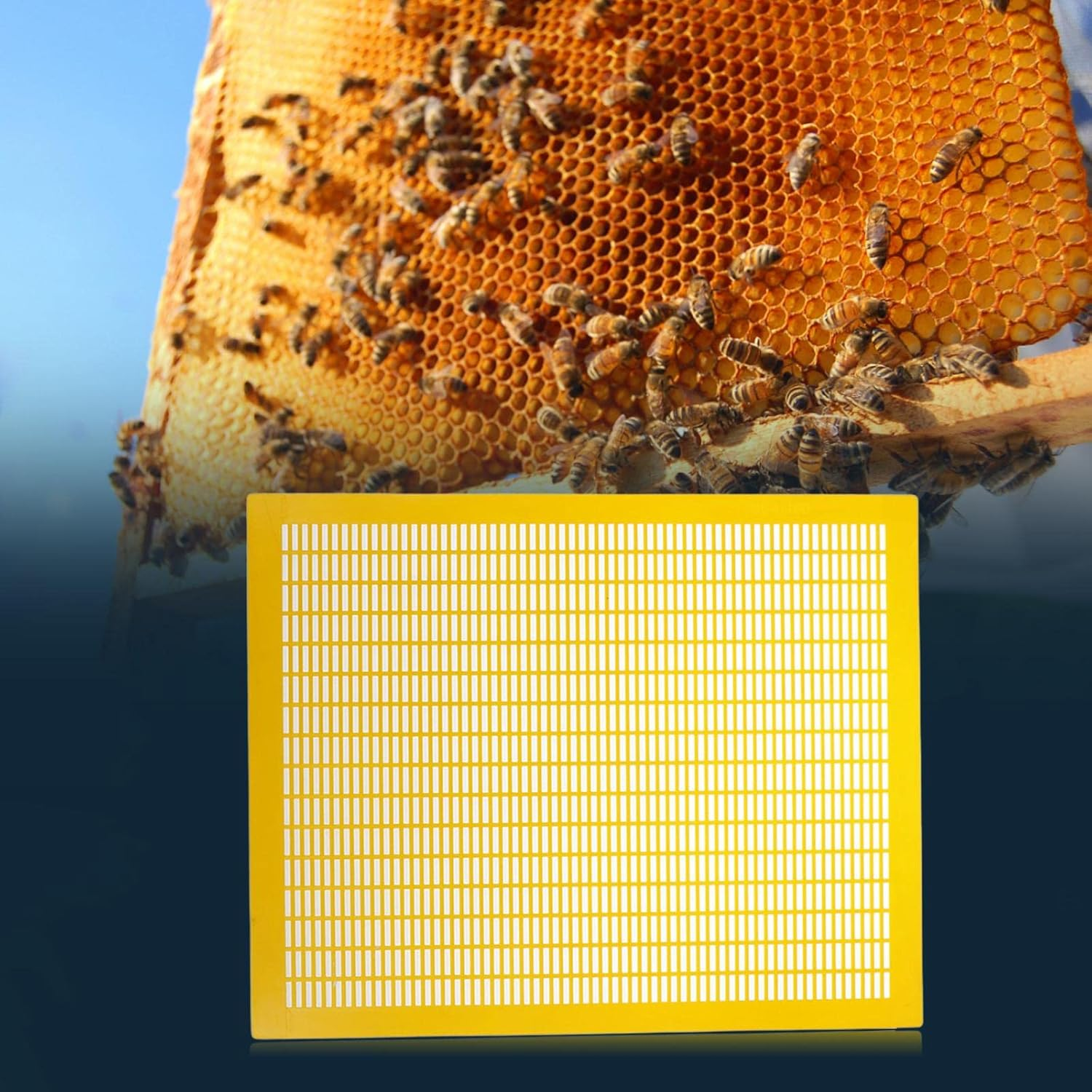 Generic Practical 10 Frame Queen Bees Excluder Easily Clean Beehive Entrance Reducer Beekeeper Beekeeping Excluder Frame, Garden Tools, Yellow image number 1