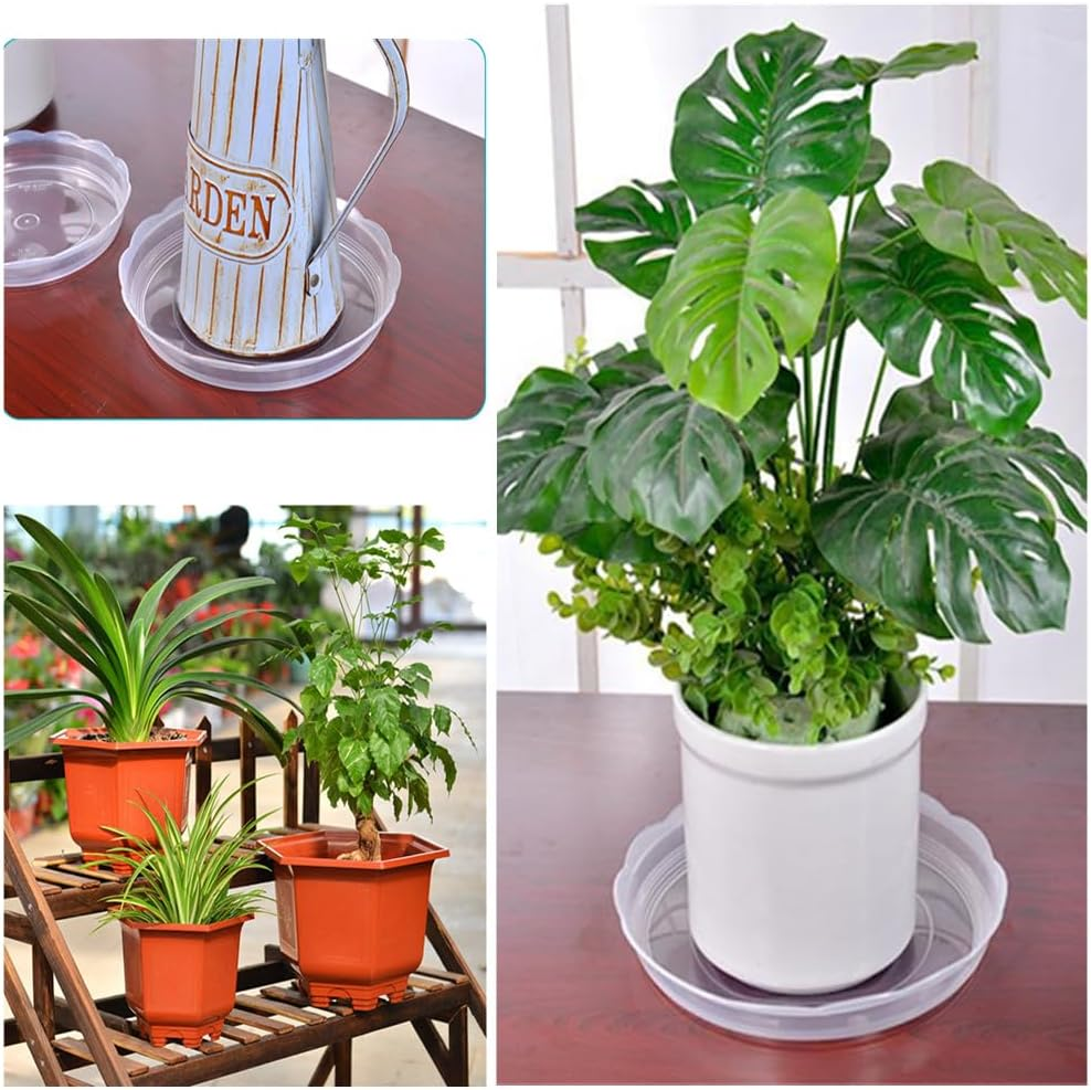 Clear round Plant Saucers,Granmagazz 10 Pacs Plastic Plant Tray,Drip Tray for Indoor Pot Plants Plant Base Saucer for Plant Pots Ideal as Plant Drip Tray (20Cm) image number 5