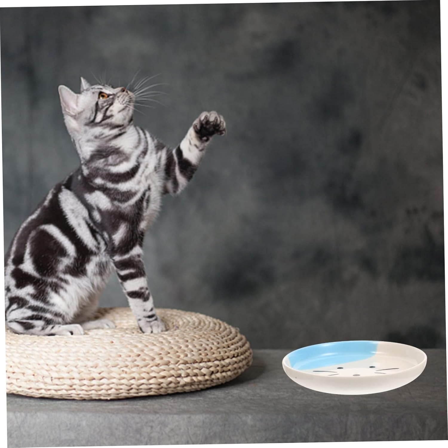 WOONEKY Ceramic Cat Bowl - Whisker Relief Food and Water Dish, Flat Plate for Cats and Dogs, Reusable Feeding Plate