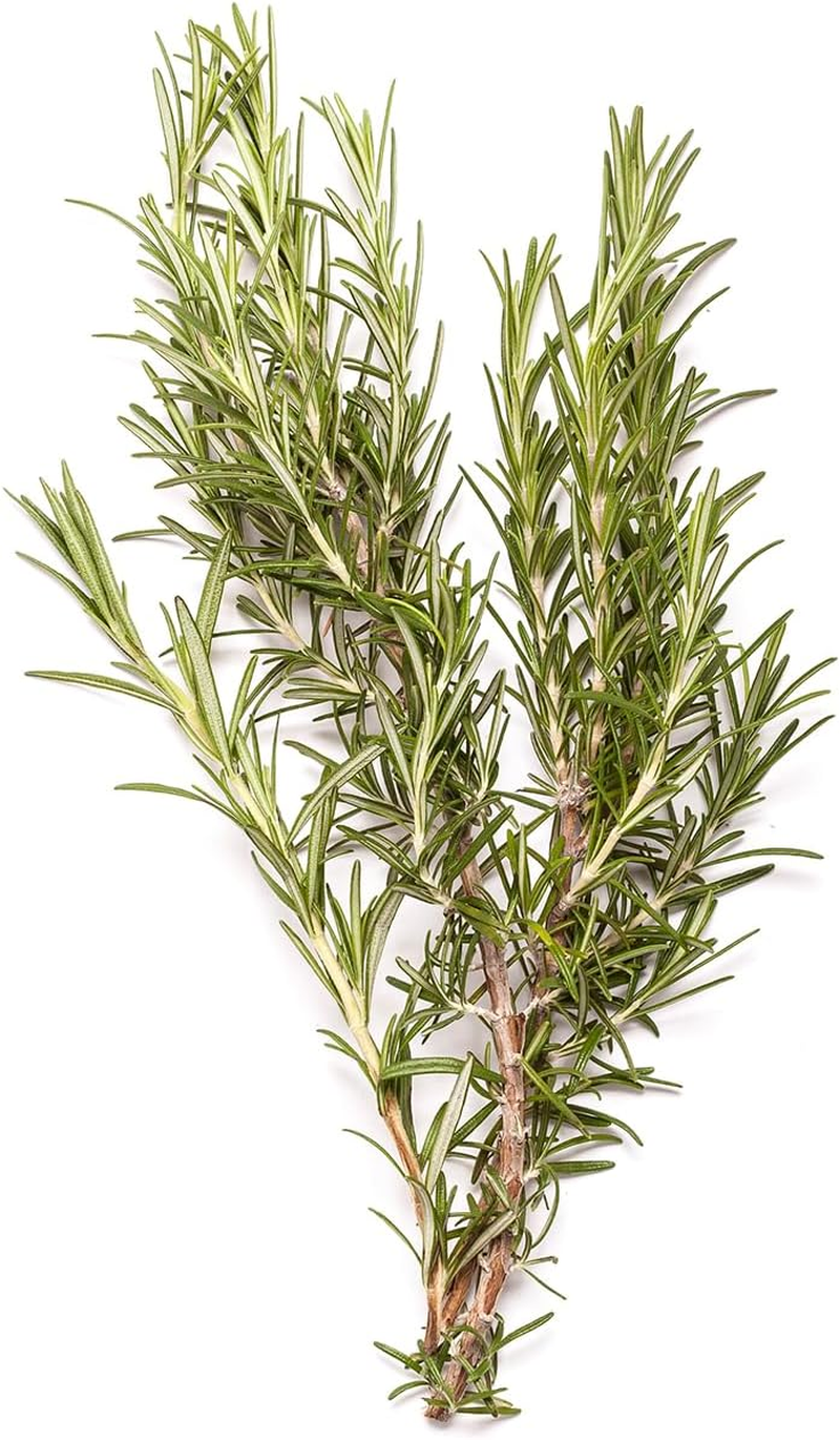 BONDI WASH Body Lotion (Sydney Peppermint & Rosemary) 500Ml/16.9Oz image number 1