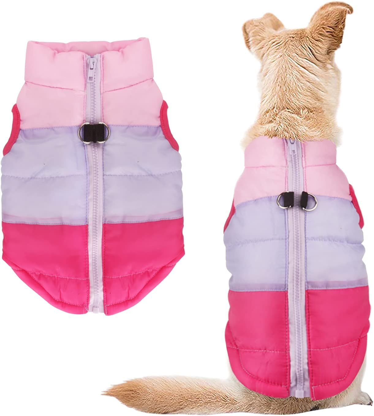 Idepet TM Pet Dog Cat Coat with Leash Anchor Color Patchwork Padded Puppy Vest Teddy Jacket Chihuahua Costumes Pug Clothes XS S M L (S, Rose)