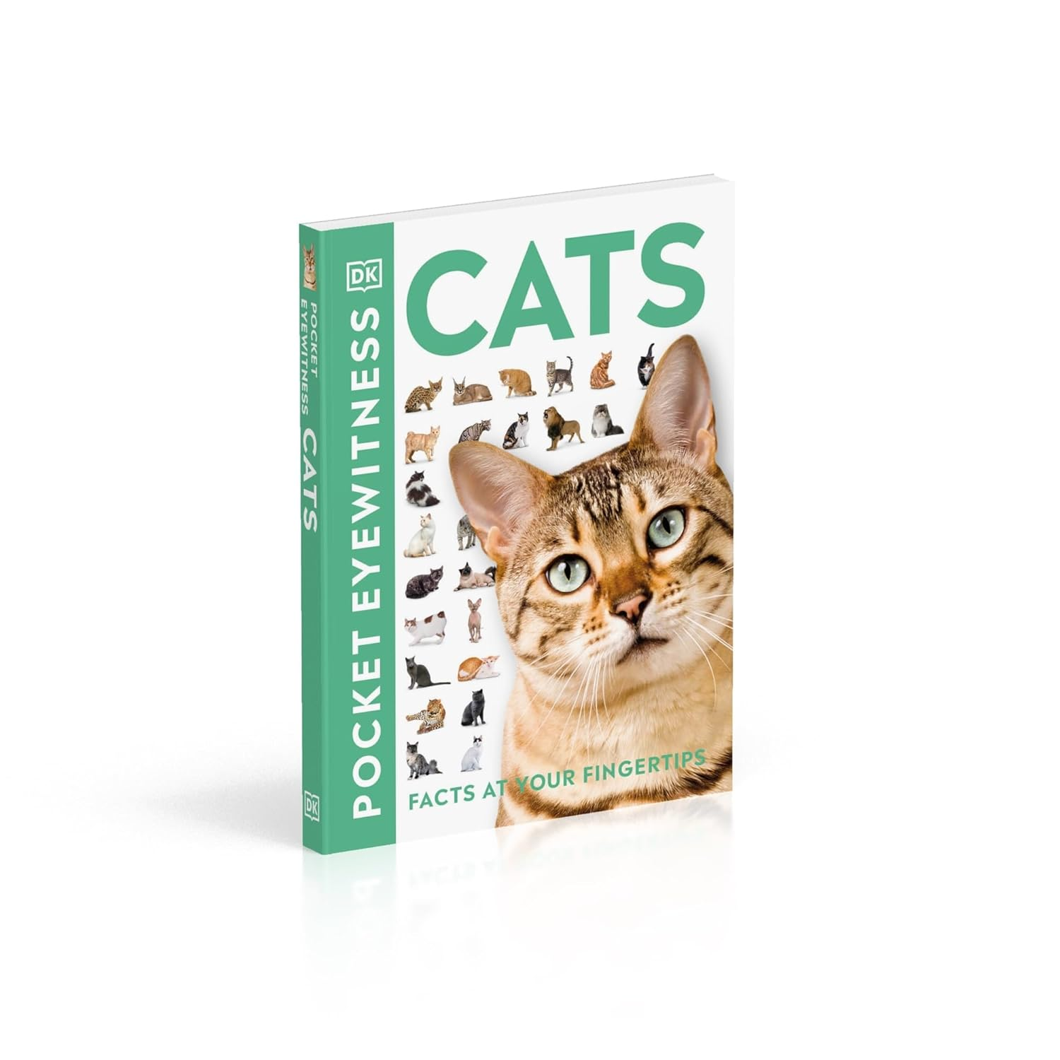 Cats: Facts at Your Fingertips