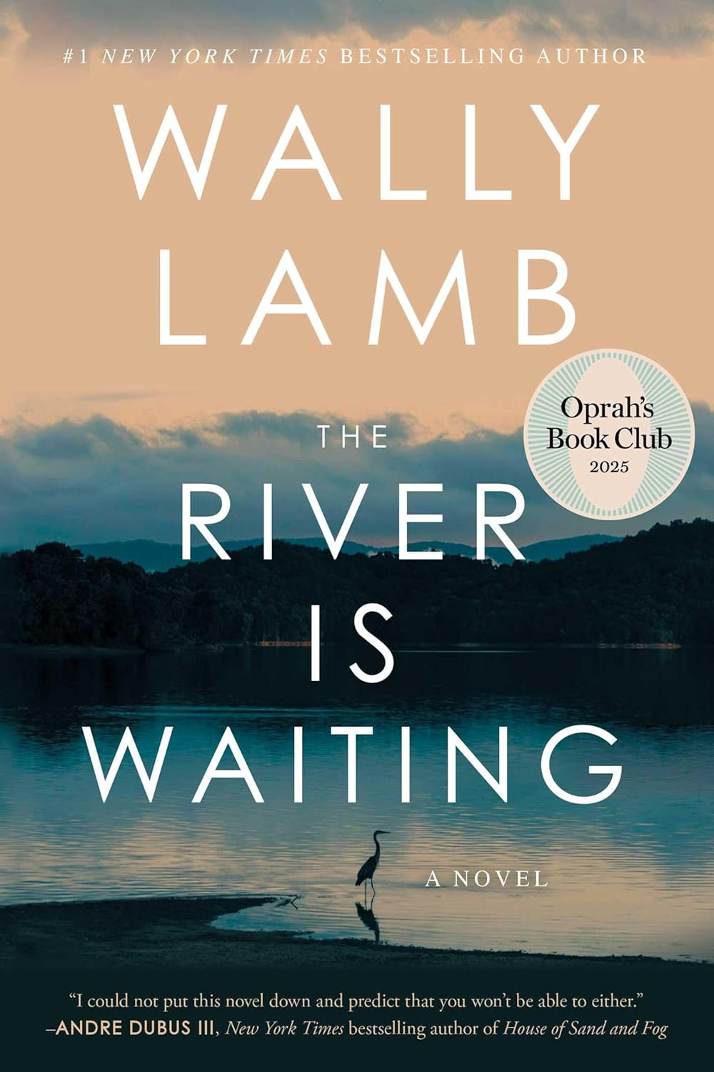 The River Is Waiting (Oprah'S Book Club): a Novel image number 1