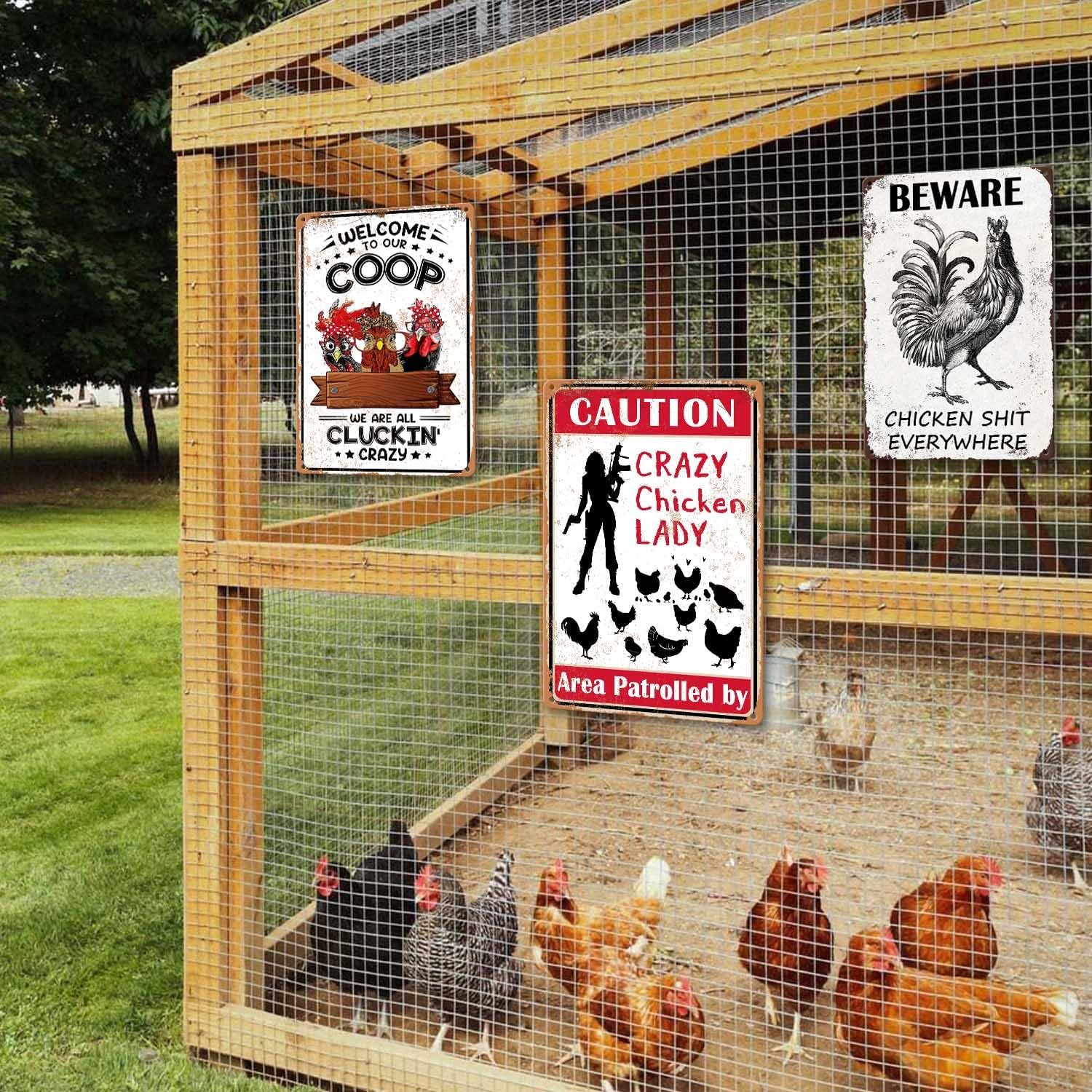 Chicken Coop Signs Welcome to Our Coop We Are All Cluckin Crazy Sign Chicken Signs for Coop Funny Outdoor Chicken Home Decor Chicken Stuff for Coop Metal Sign Chicken Coop Farm Tin Sign 8X12 Inch&hellip; image number 5