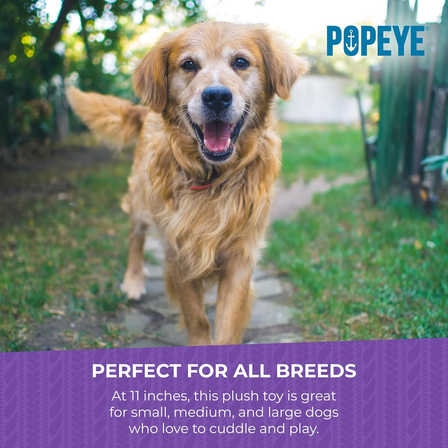 Multipet Popeye Dog Plush Toy - Toys for Dogs All Age - Extra Soft Plush Dog Toy - Stuffed Toy for Cuddling & Playing - Cute & Tough Pet Toy (11") image number 1