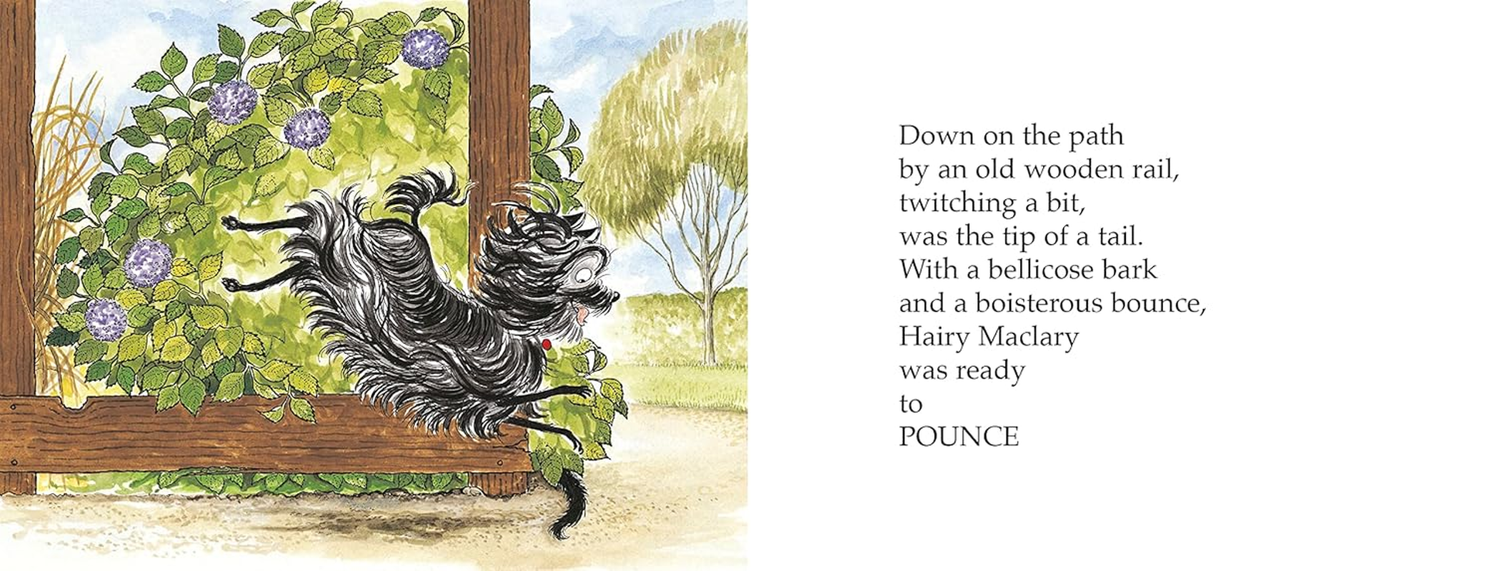 Hairy Maclary Scattercat image number 5