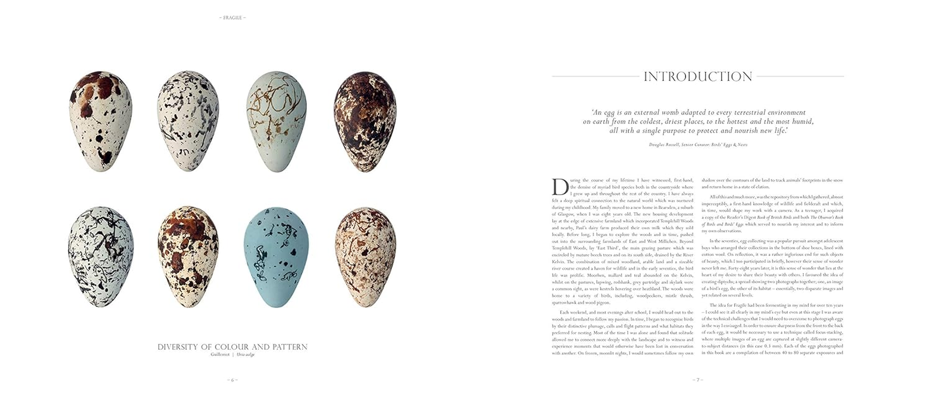 Fragile: Birds, Eggs and Habitats image number 3