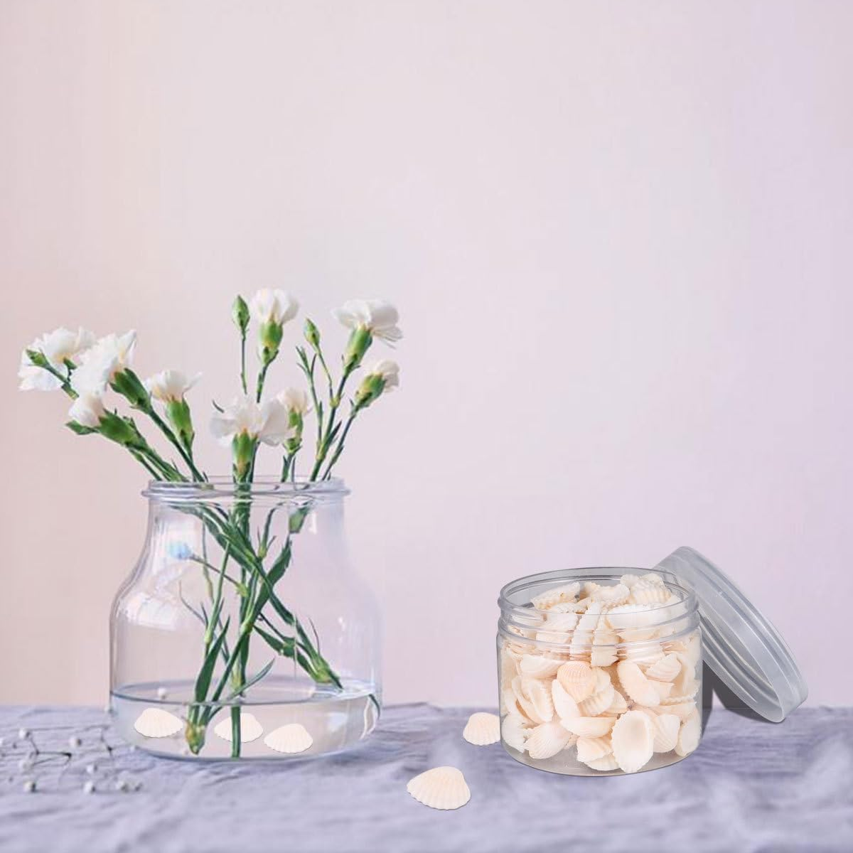 SEWACC 2Pcs Natural Shell Scallop Canned Small White Seashells Micro Landscape Decor Sea Shells Mixed Wishing Bottle Clam Shells for Crafts Beach Shells Seashells for Crafts Sandbag Large image number 1