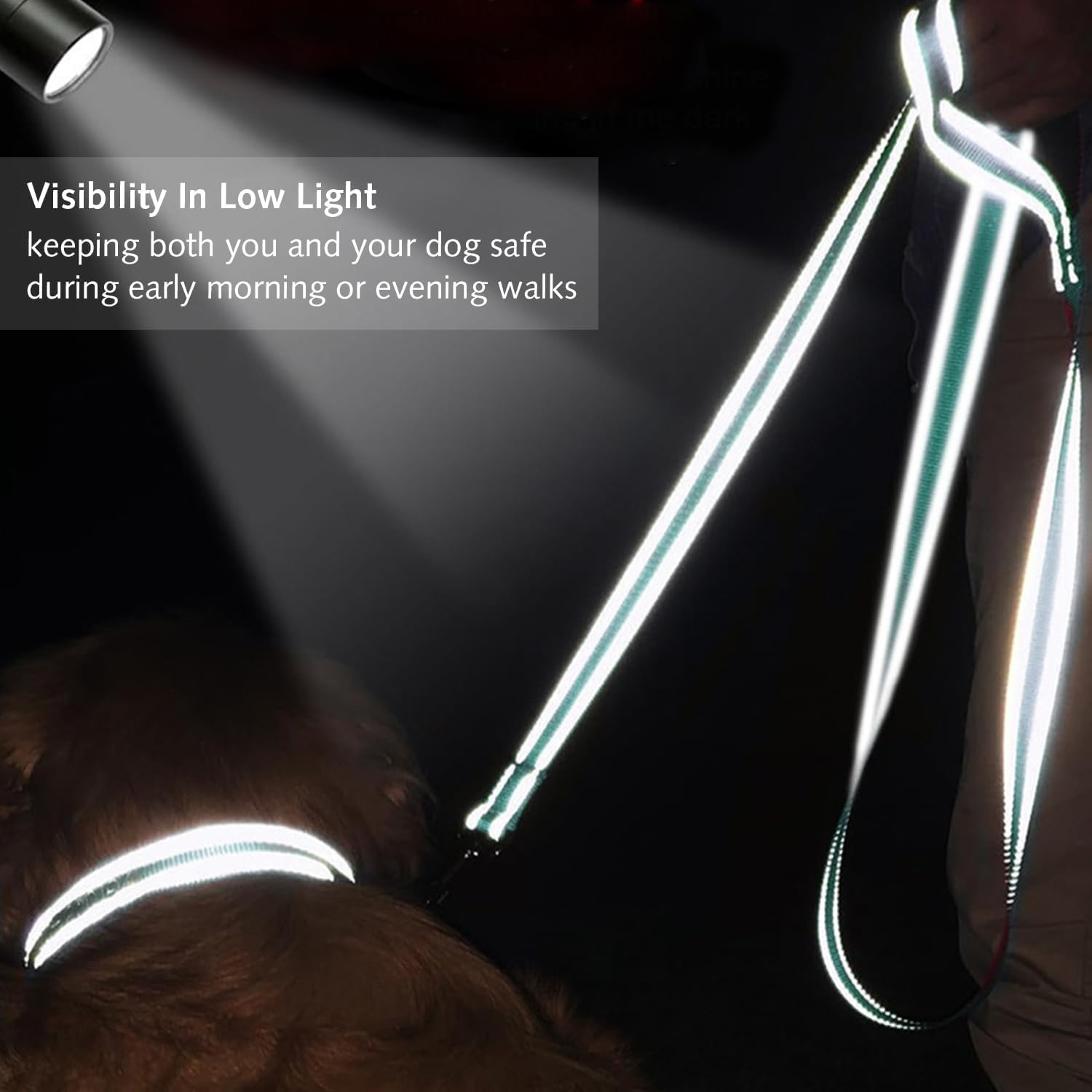 Padded Handle Dog Leash Double Sided Reflective Nylon Leash Training Leash for Small Medium Dogs image number 4