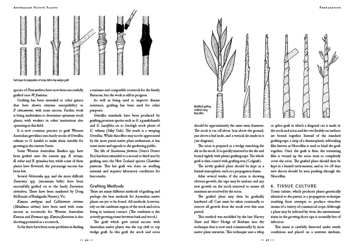 Australian Native Plants - 7Th Edition: Cultivation, Use in Landscaping and Propagation image number 5