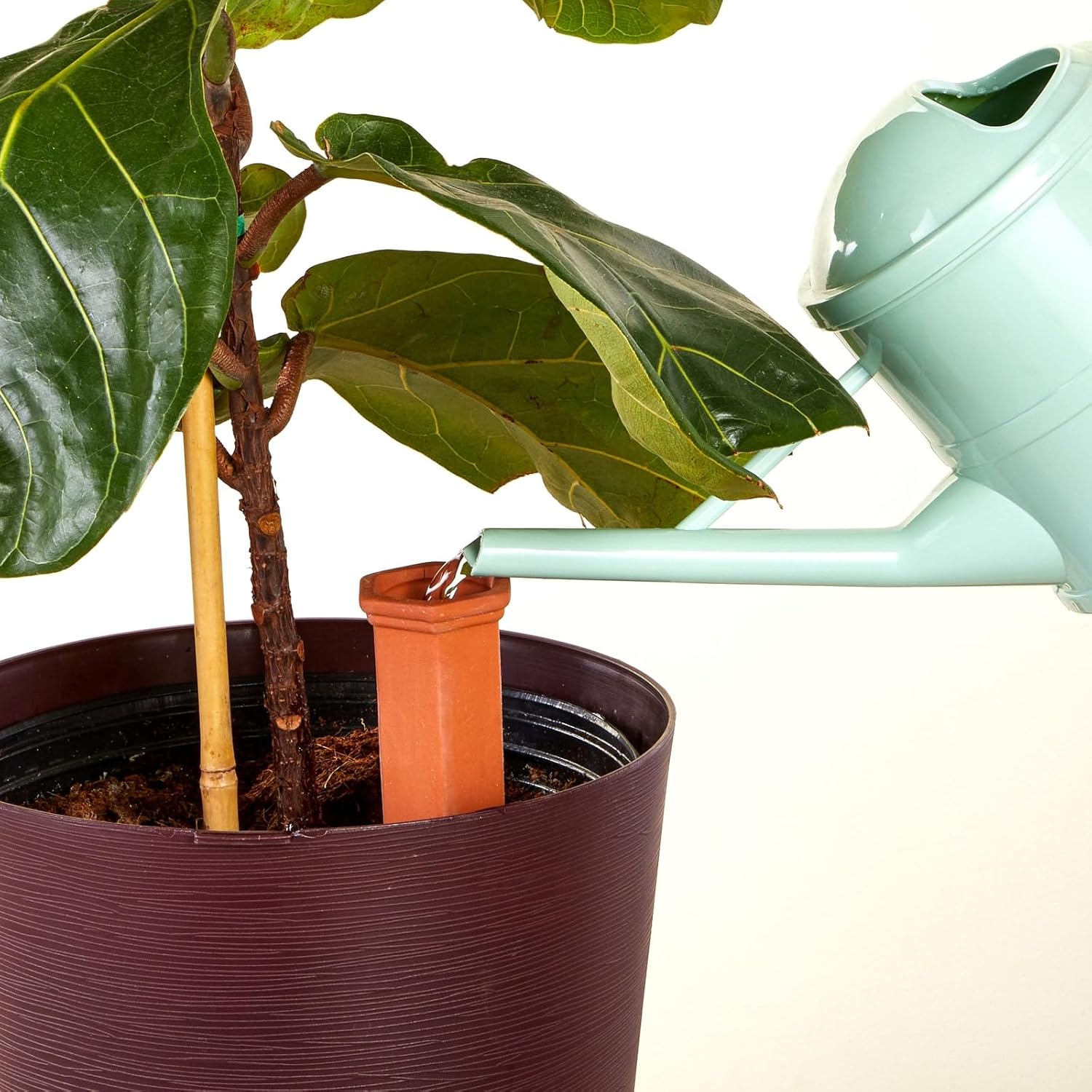 Juvale Self Watering Spikes - 6-Pack Terracotta Plant Watering Stakes, Automatic Slow Release Water Drippers for Indoor Outdoor Garden, Vacation Irrigation Device, Brown, 6.9 Inches Tall image number 5