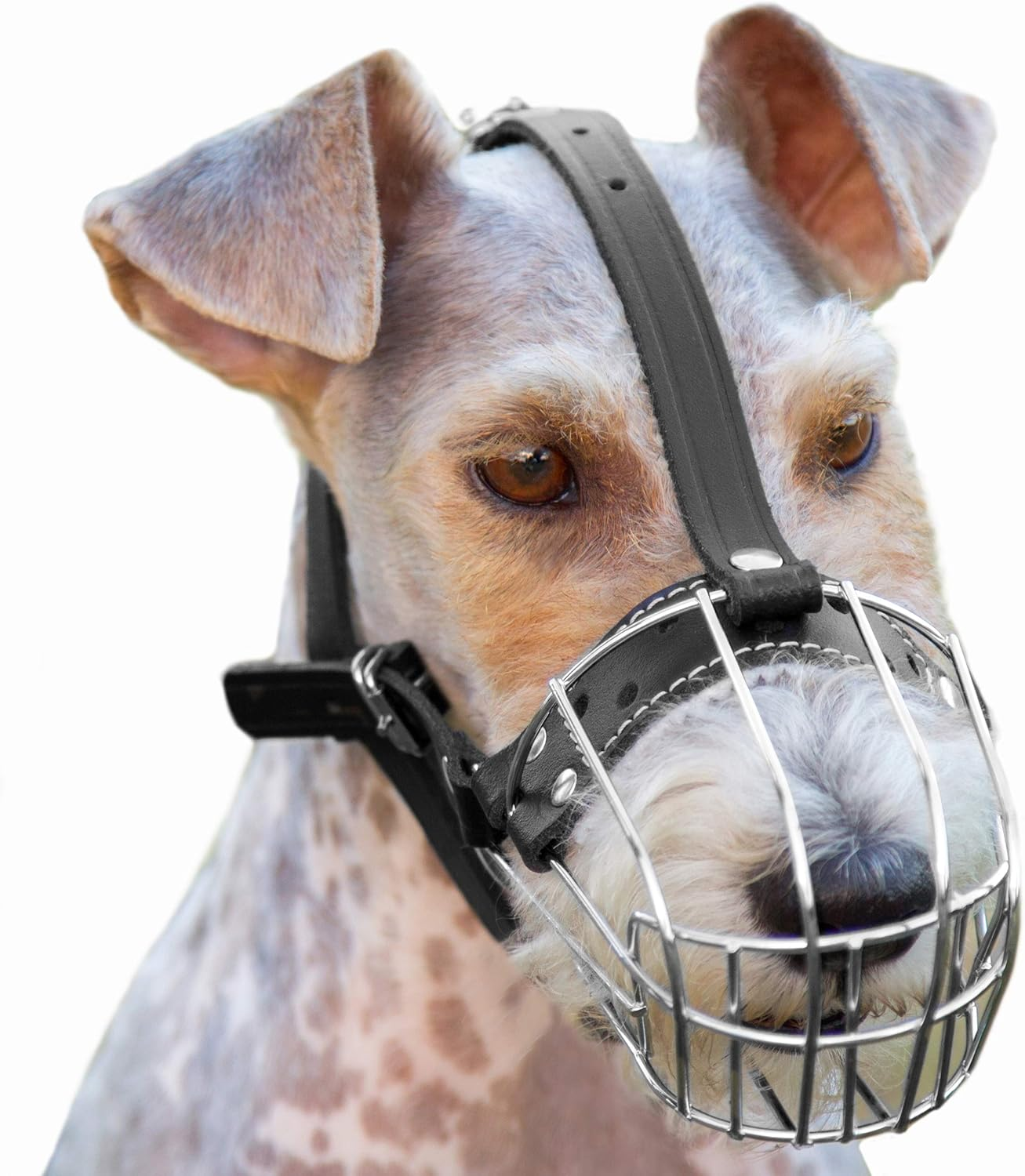 Petristor №3 Dog Chrome Metal Muzzles Wire Basket Adjustable Leather Straps image number 5
