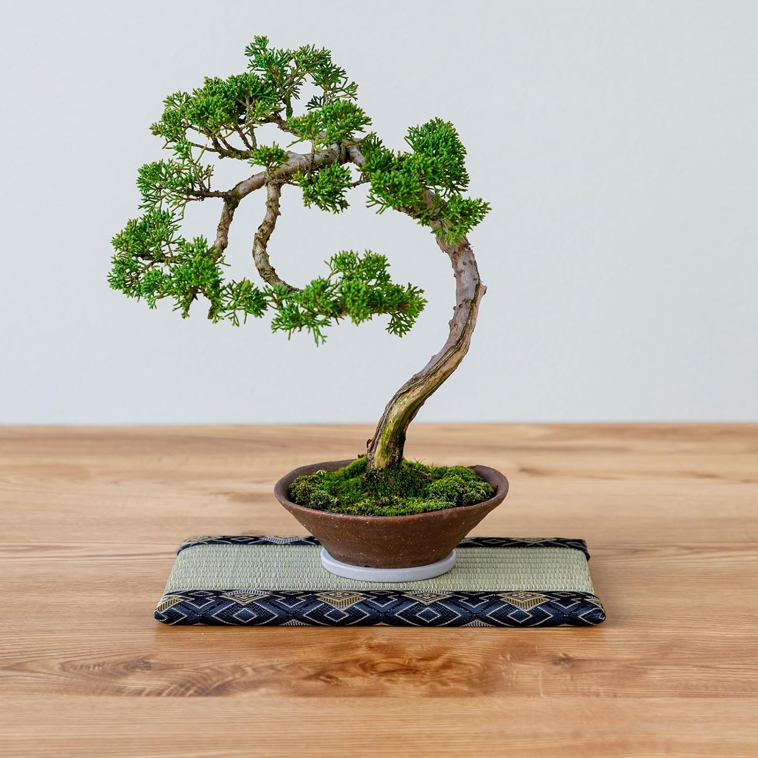 Asayu Mini Tatami Mat Made of Real Igusa Rush Grass, Made in Japan, for Bonsai, Doll Stand, Coaster, Incense Holder (Blue) image number 3