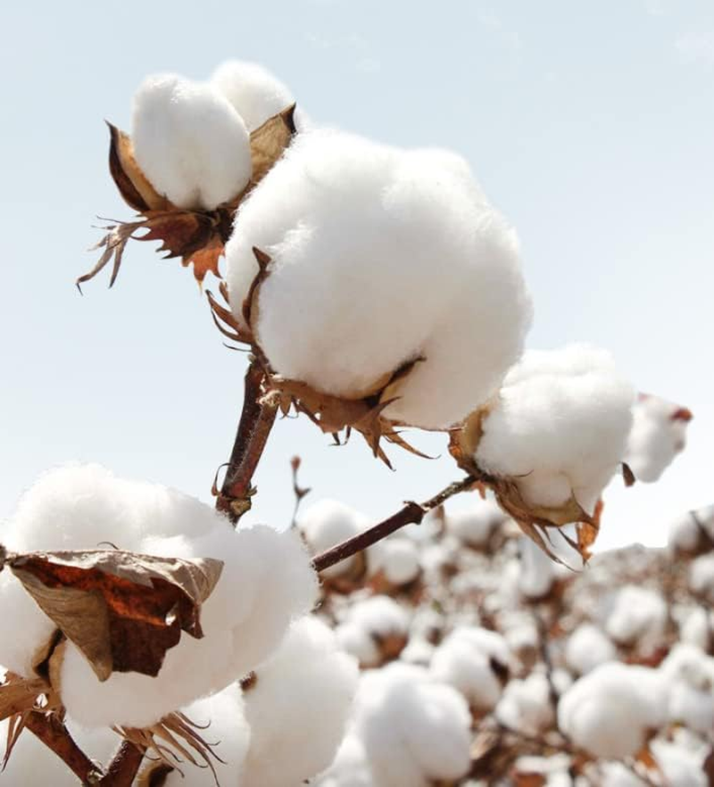 Baby Pushchair Seat Liners Baby Stroller Cushion Pram Liner Universal Stroller Cushion Seat Pad Soft Thicken Stroller Soft Cotton Insert with Mattress Stroller Seat Liner with Head and Body Support image number 6