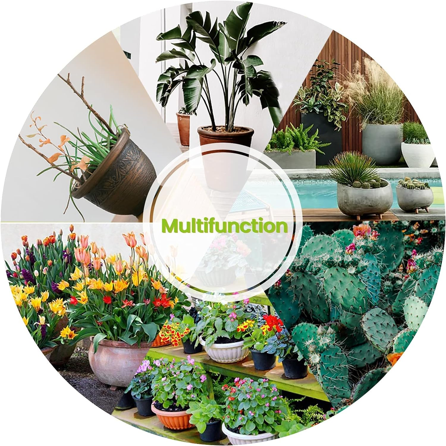 Garden Pot Mover with Adjustable Handle - Heavy Duty Plant Dolly Caddy with Sturdy Flat-Free Wheels and Gripping Suction Cups, Max 165 Lbs Weight Capacity image number 2