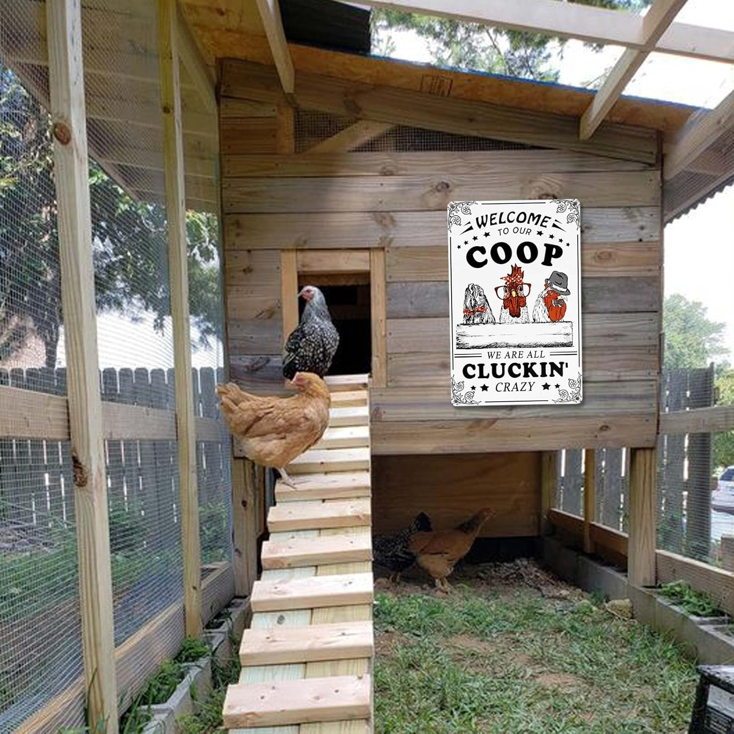 Welcome to Our Coop We Are All Cluckin Crazy Funny Chicken Sign Chicken Coop Sign Chicken Decor 12" * 8" (215) - Beige image number 6