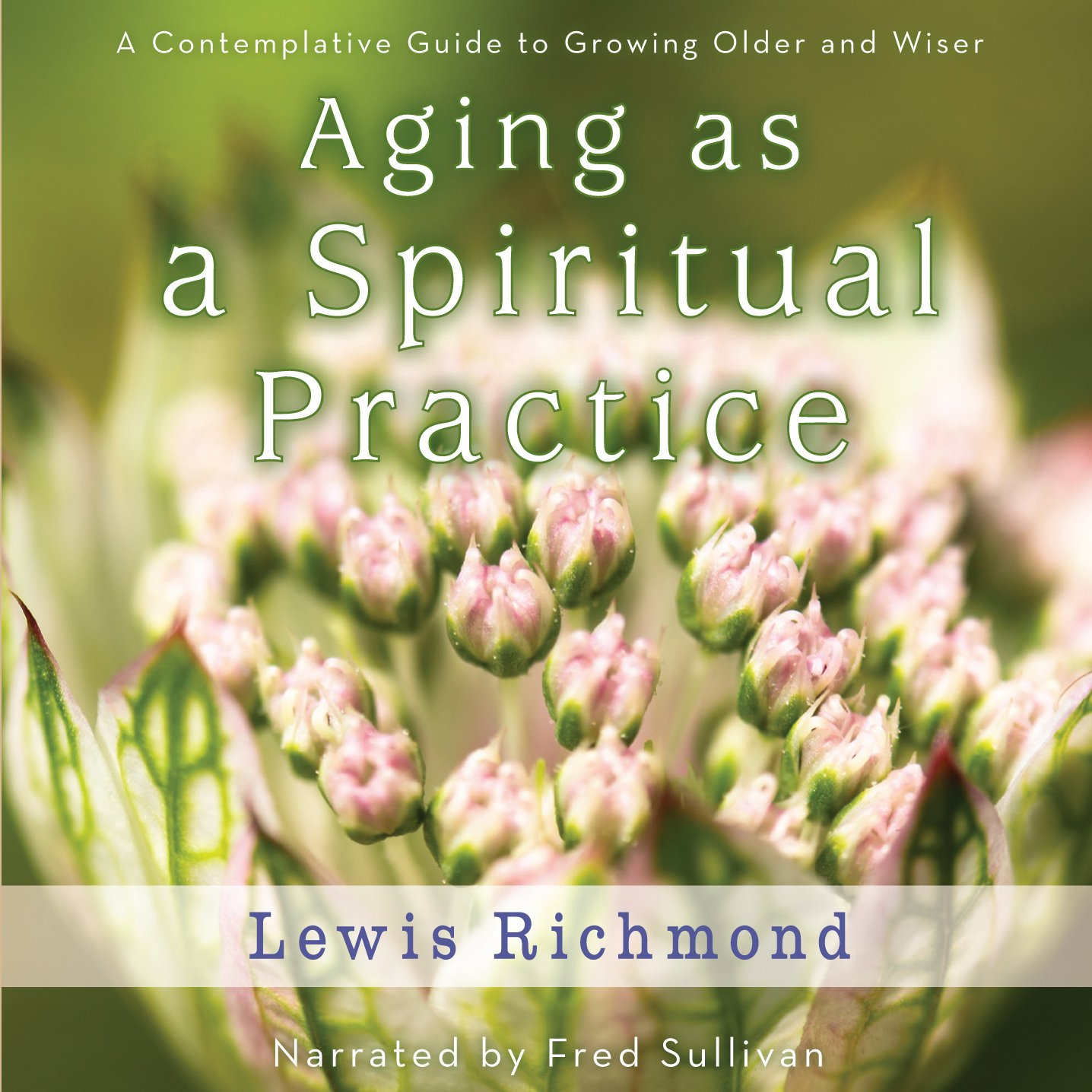 Aging as a Spiritual Practice: a Contemplative Guide to Growing Older and Wiser