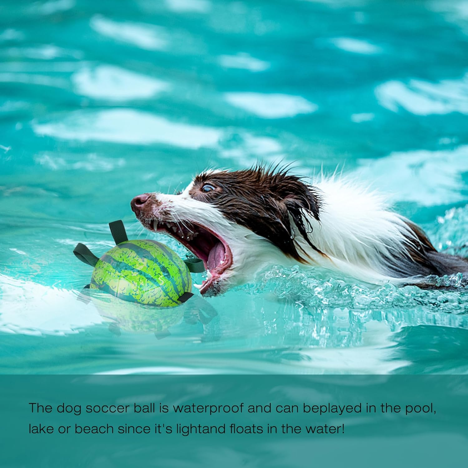 Dog Balls Toys Interactive Soccer Toy: Dog Toys with Grab Straps Tabs for Jolly, Fun Dog Water Toy for Tug for Small & Medium Dogs Ball 6.8 Inch image number 4