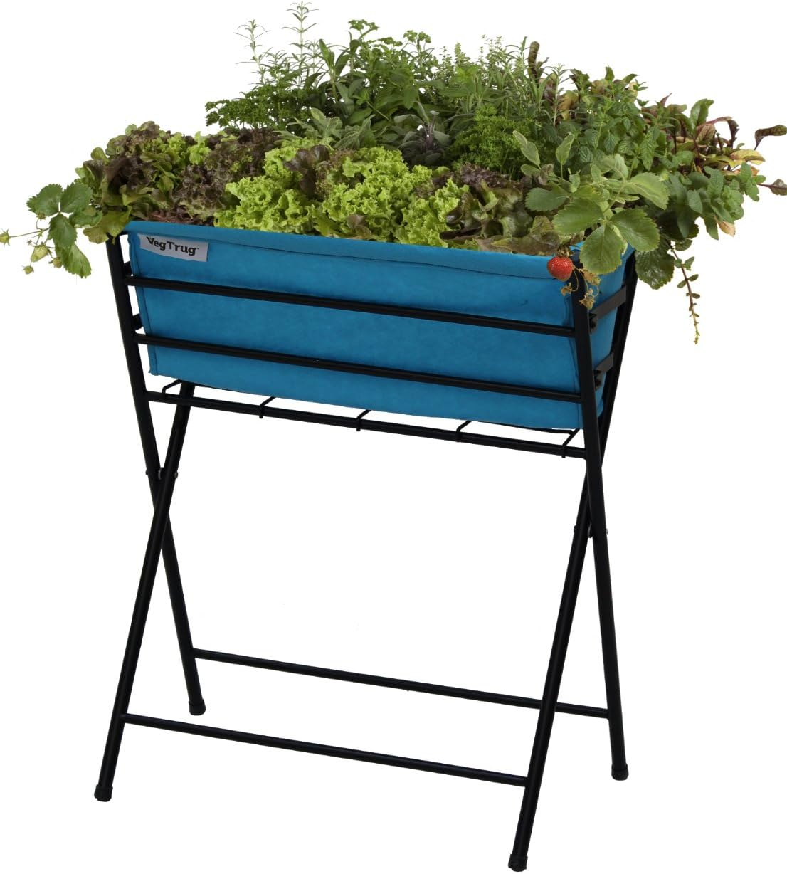 Vegtrug POPKT011BL Poppy Black with Pale Blue Felt