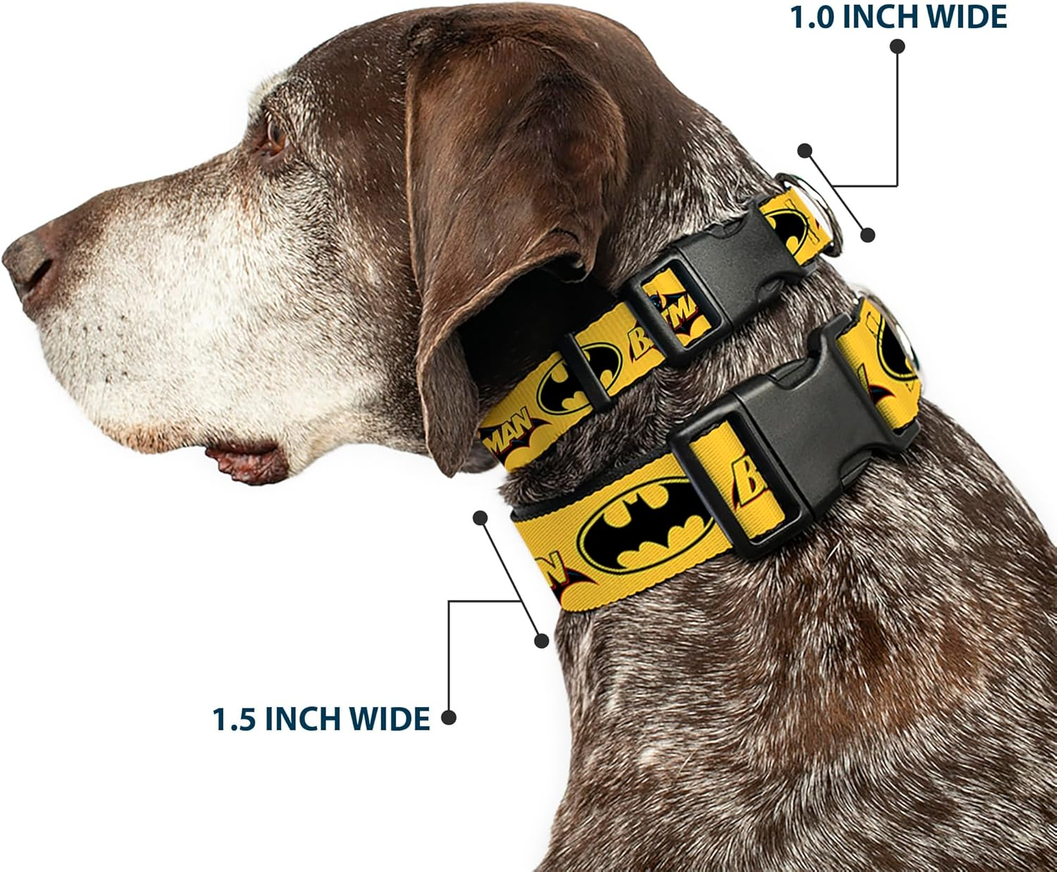Buckle-Down Plastic Clip Dog Collar, Vintage Batman Logo and Bat Signal-3 Yellow/Black, 18 to 32 Neck Size X 1.5 Inch Width image number 2