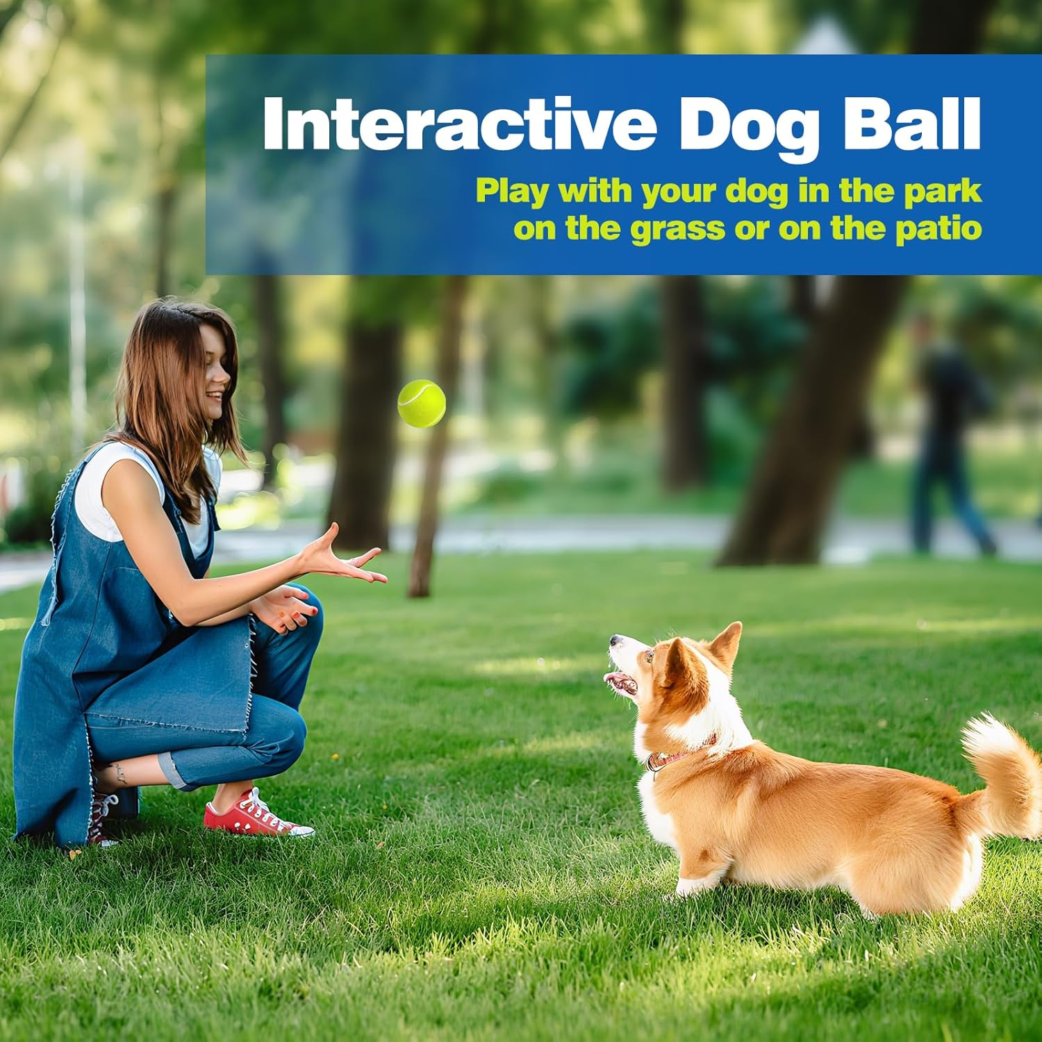 12 Pack Tennis Balls for Dogs, 2-Inch Size, Compatible with Most Automatic Ball Launchers, Exercise Playing Balls for Pet Dog image number 5