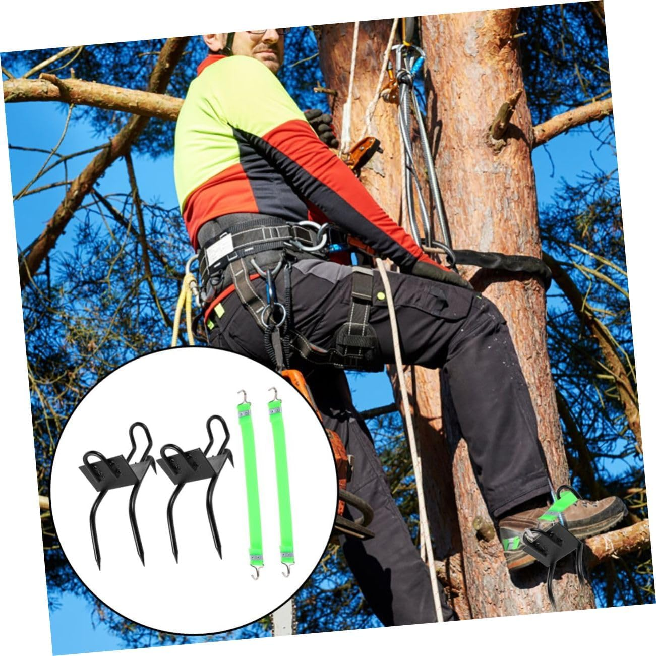 CORHAD Tree Climbing Shoes Non-Slip Spikes Carbon Steel Climbing Tool Adjustable Size for and Observation image number 3