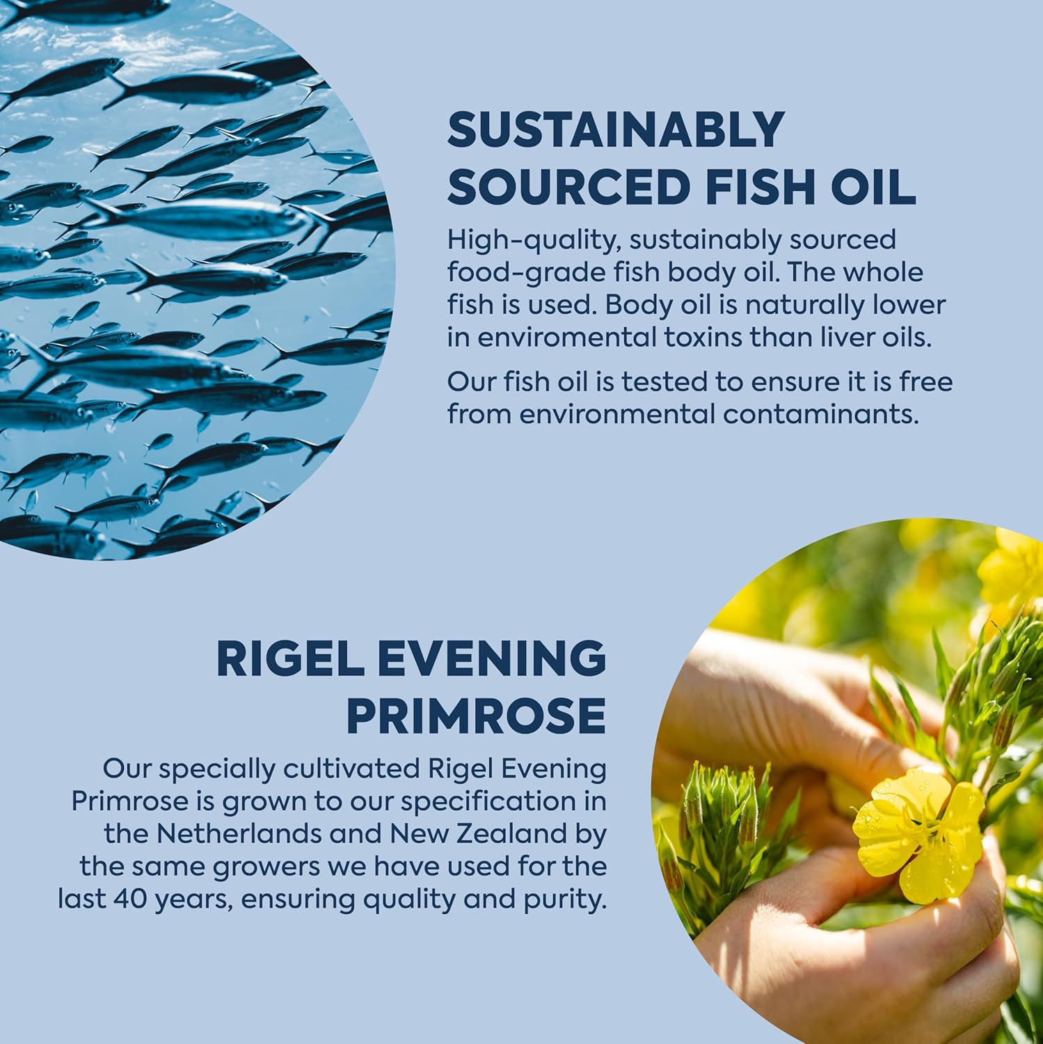 Efalex Omega 3 +6 Food Supplement Lemon & Lime Flavoured Liquid 150Mls image number 3