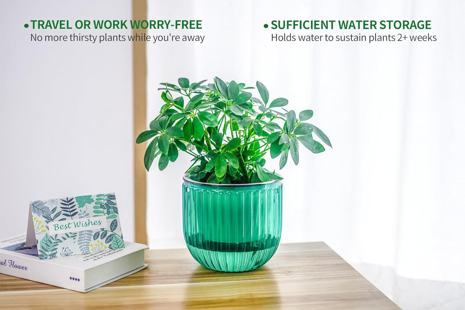 Melphoe 2 Pack Self Watering Hanging Planters Indoor Hanging Flower Pots, 6.5 Inch Outdoor Hanging Plant Pot Basket, Plant Hanger with 3Hooks Drainage Holes for Garden Home Emerald+White - Emerald+White image number 5