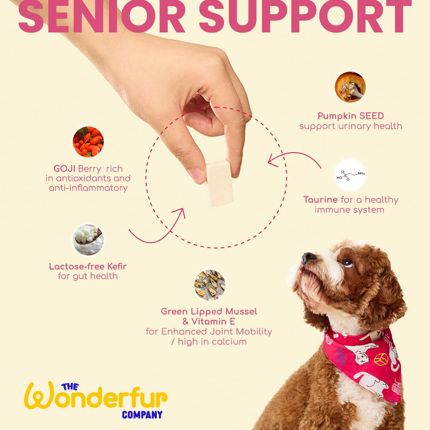Wonderfur Senior Support Bites - Freeze-Dried, Vet-Endorsed Probiotic & Kefir Yogurt Treats with Superfoods & Nutrients for Senior Dogs, Human-Grade image number 4