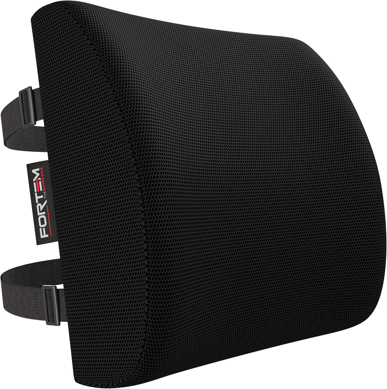 FORTEM Lumbar Support Office Chair, Lumbar Support Pillow for Car, Office Chair Back Support, Lumbar Pillow for Desk Chair, Memory Foam Back Cushion, Washable Cover (Mesh, Black)