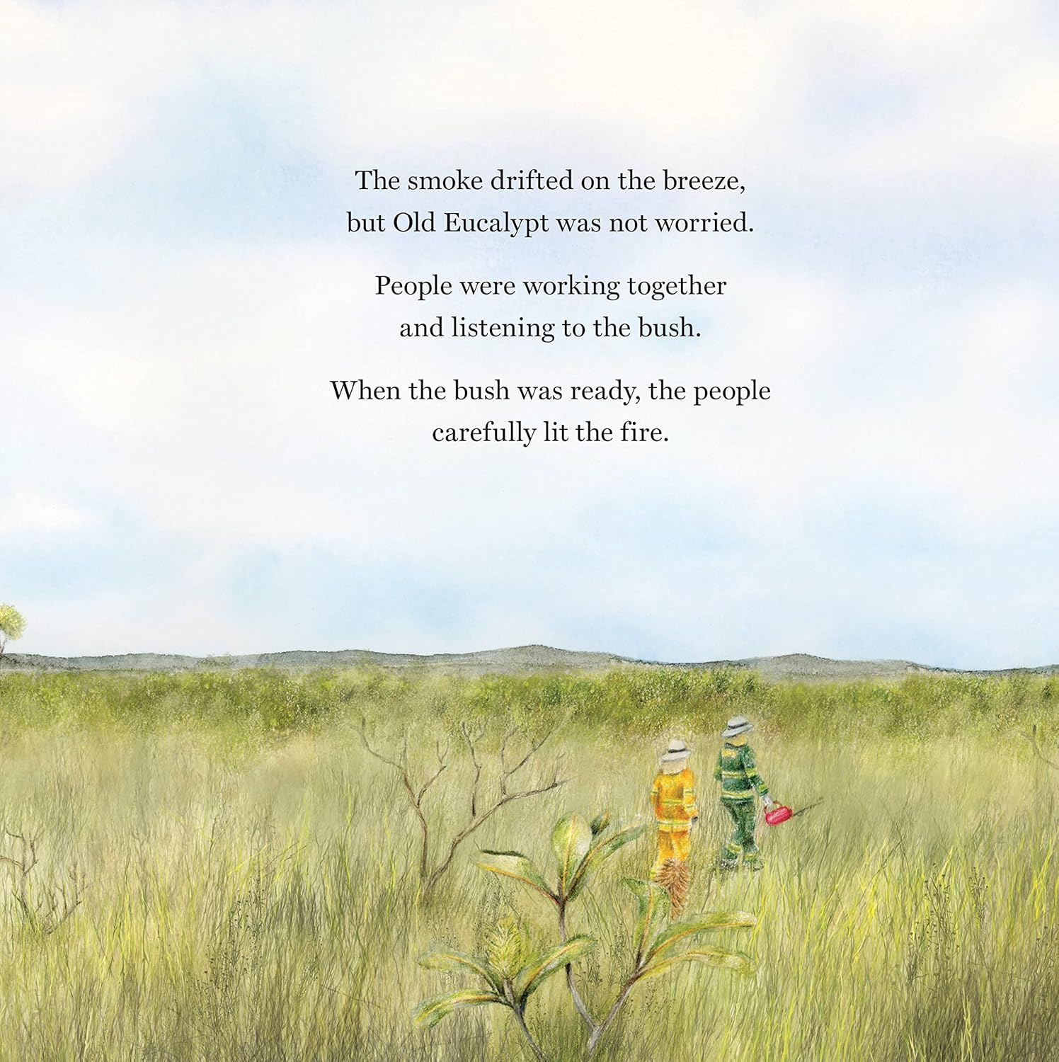 Alight: a Story of Fire and Nature image number 2