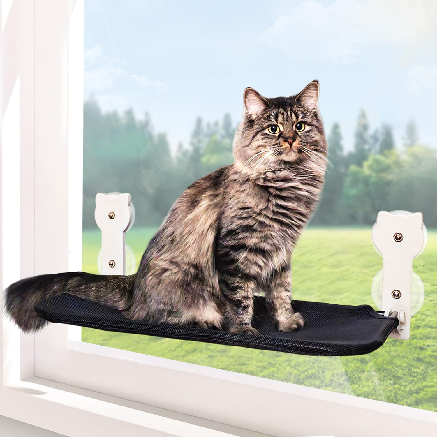 Dracarys Cat Window Lounger Cat Bed Window, Sturdy Foldable Cat Lounger Window Wireless Cat Hammock Window Indoor Cat Furniture with 4 Strong Suction Cups Holds up to 20 Kg image number 5