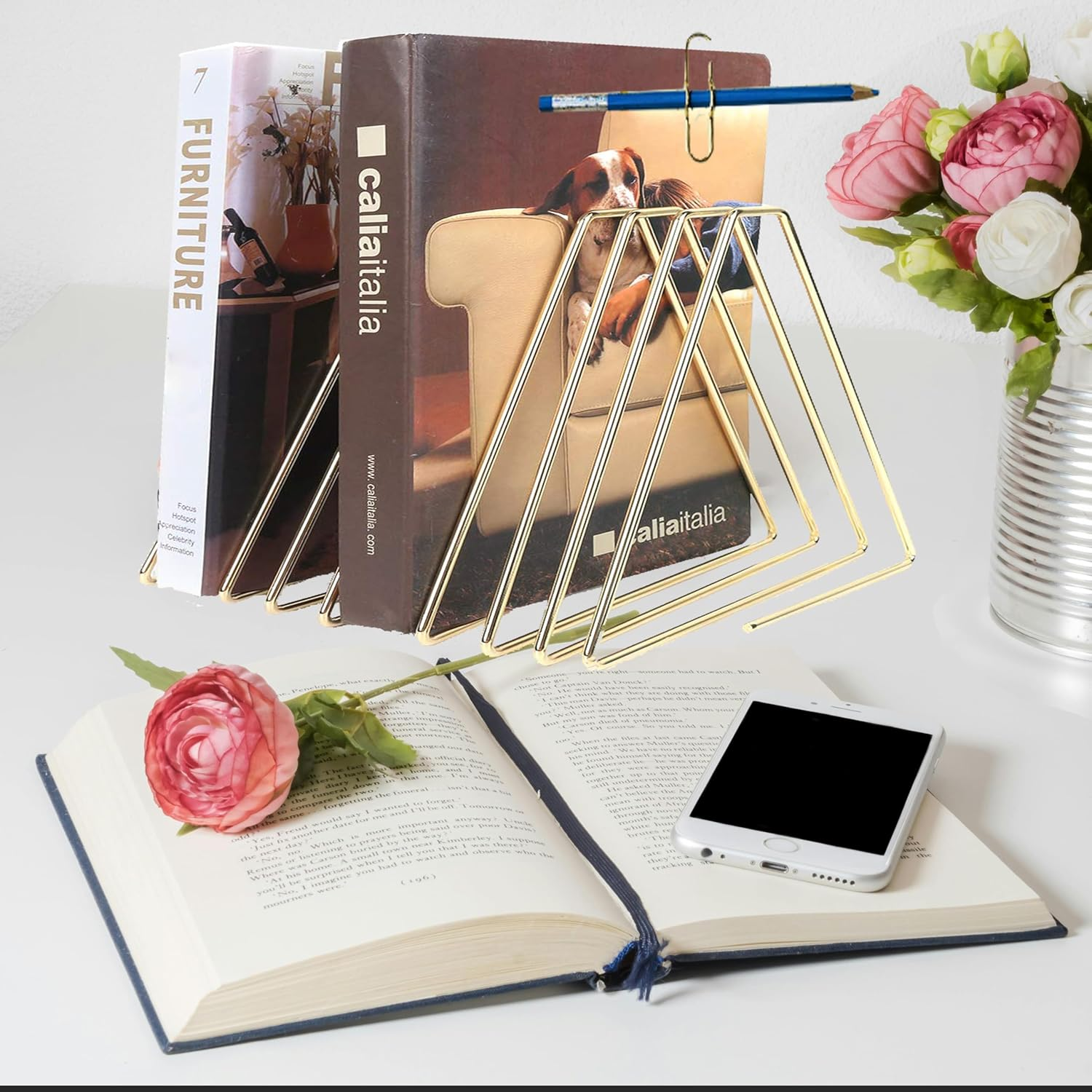 FEIQIAO Adjustable Telescopic Triangle Record Shelf Bookshelf, Wire Folder Organizer Sorter, Decorative Desktop Book Organizer Magazine Rack (Gold, 7 Grid) image number 7