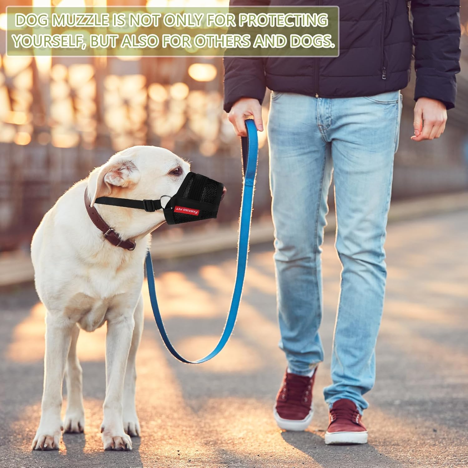 Charming Club Adjustable Dog Muzzle for Small & Medium Dogs - Breathable Mesh Anti-Bite Mask with Hook & Loop Strap | Stops Barking, Chewing & Biting (Black, L) image number 1