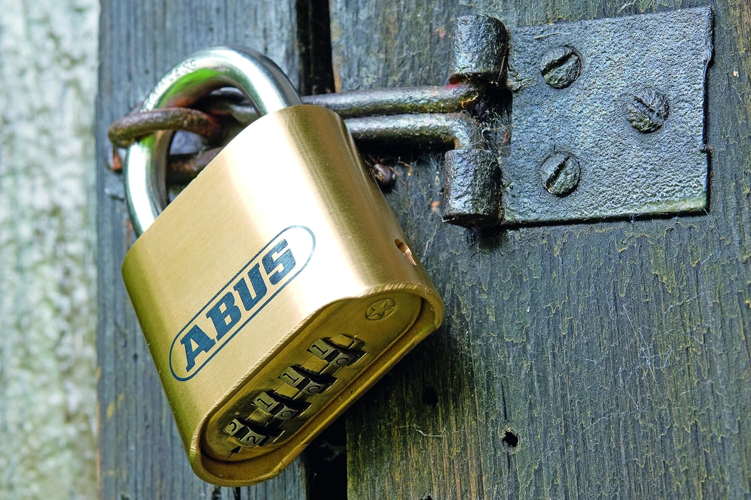 ABUS Combination Lock 180IB/50 - Brass Padlock - Weatherproof - with Individually Adjustable Number Code - ABUS Security Level 5 - Brass Colours