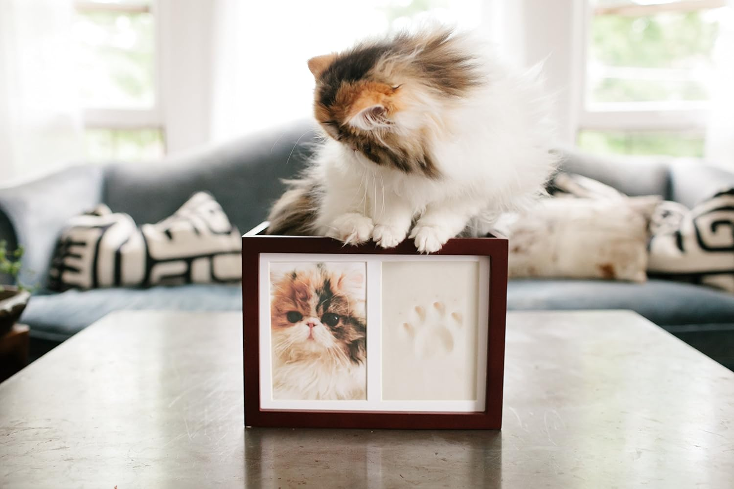 Pearhead Dog or Cat Paw Prints Pet Memory Box with Clay Imprint Kit, Perfect Pet Memorial Espresso image number 3