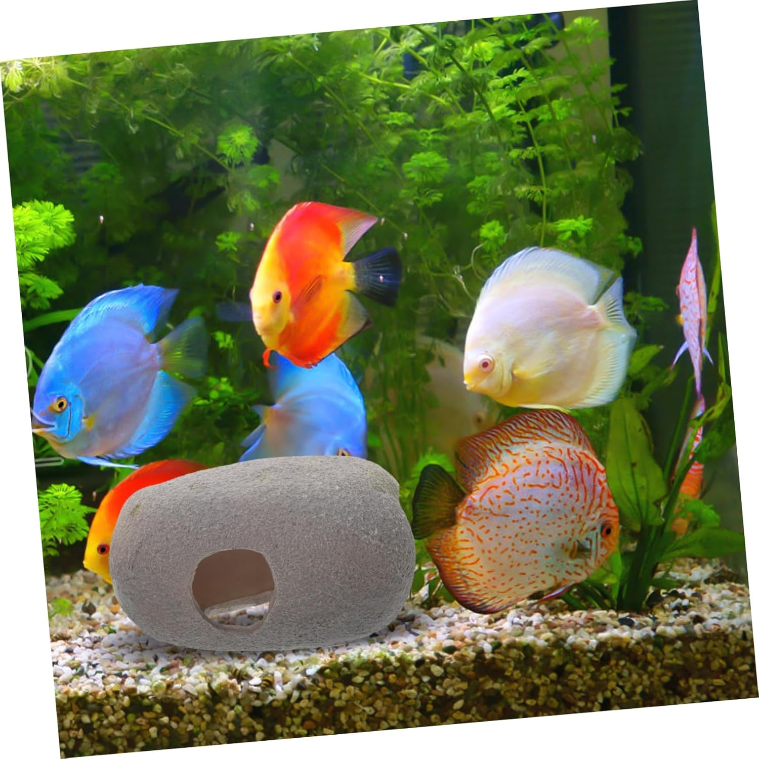 GANAZONO Resin Fish Shelter for Shrimp and Fish Aquarium Ornament with Spacious Hiding Cave Safe Decorative Habitat for Freshwater and Reptile Pets Enhances Visual Appeal image number 1