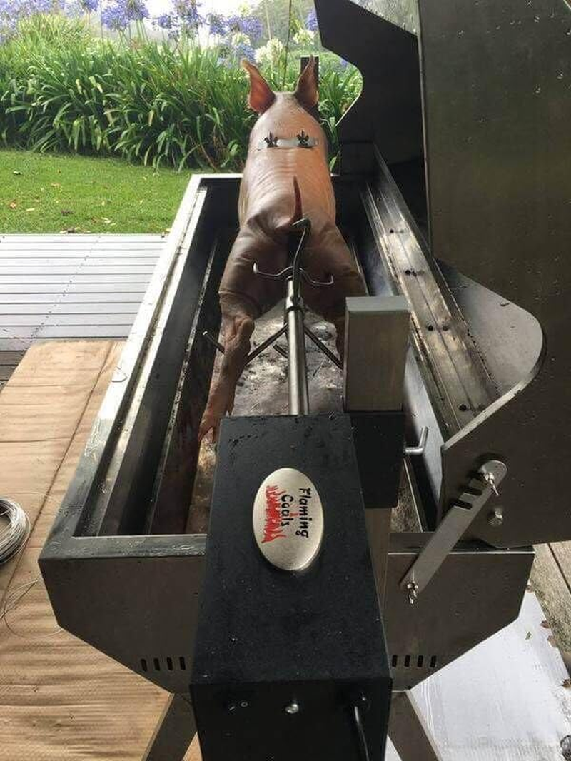 Spit Roast Motor-Heavy Duty Catering Quality-Australian Designed- 60Kg Pig Motor image number 5