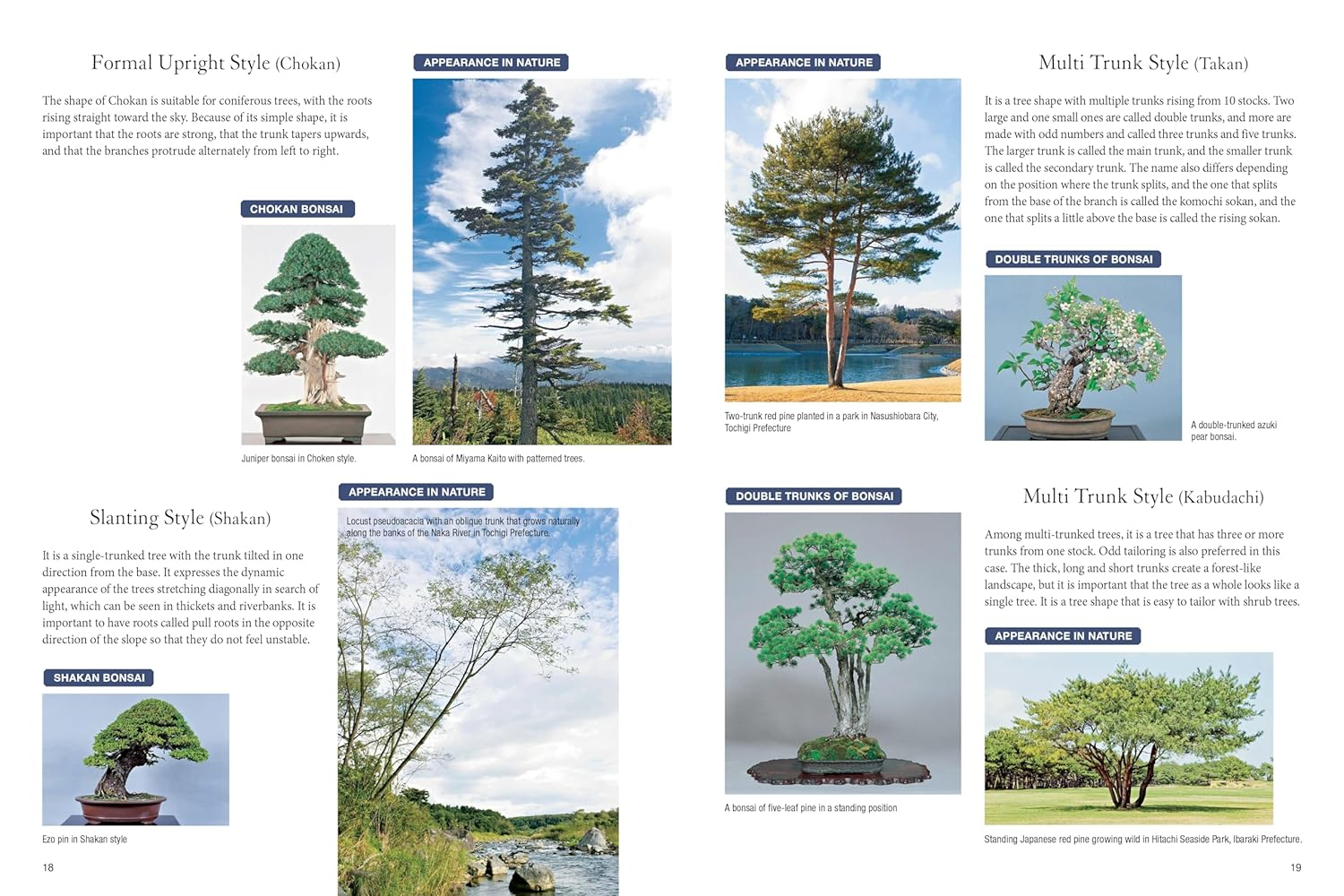 Bonsai Master Class: Lessons and Tips from a Japanese Master for All the Most Popular Types of Bonsai (With over 600 Photos & Diagrams) image number 5