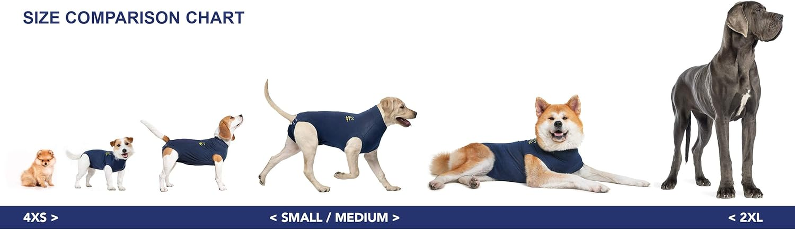 MPS Medical Pet Shirt Dog, Surgery Recovery Suit, Blue, Xxx-Small image number 5