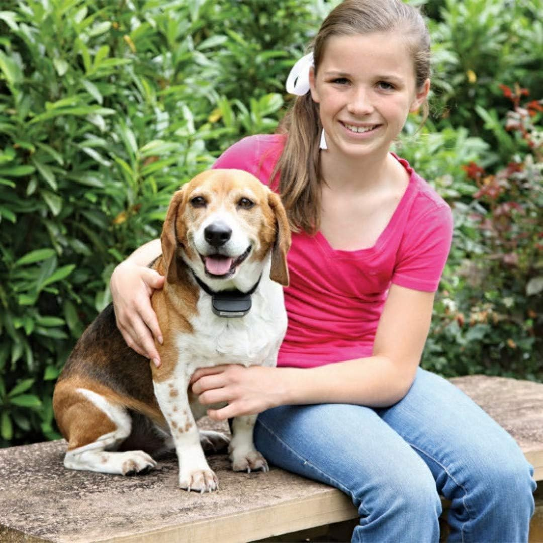 Petsafe Extra Collar for Inground Fence System (PIG19-16414)