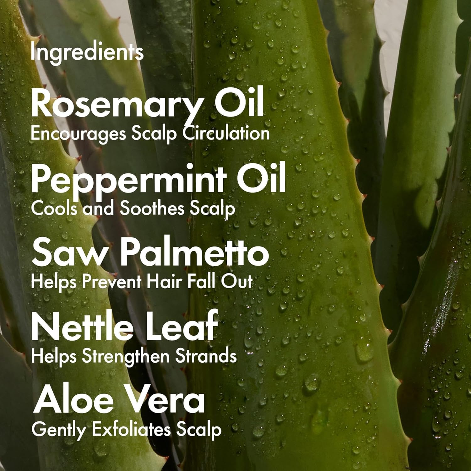 Bondiboost Intensive Spray 4.23 Fl Oz - Fuller Hair Leave-In Treatment - Boost Volume, Thickness, + Soften Hair - Root Lifting - Lightweight Non-Greasy Formula - Vegan/Cruelty-Free - Australian Made image number 6