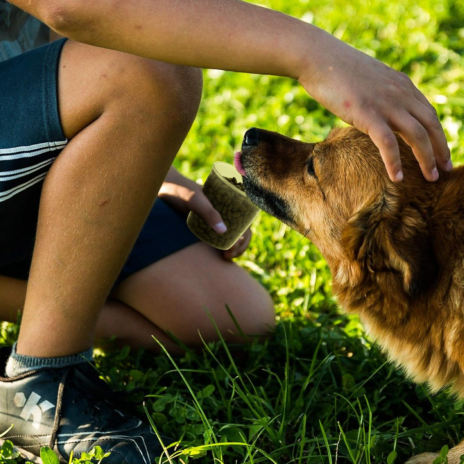 Citylife 2 PCS 2.5 LB Dog Food Containers Small Pet Cat Food Storage Container Pour Spout Measuring Cup Bird Dry Food Dispenser with Lid image number 7